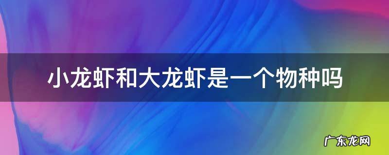 小龙虾和大龙虾是一个物种吗 以前的龙虾与现在的小龙虾是一个物种吗