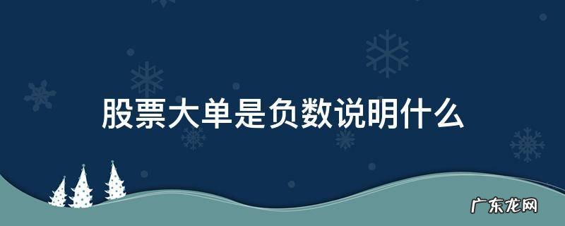 股票单价是负数 股票大单是负数说明什么