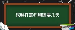 泥鳅打窝钓翘嘴要几天生效 泥鳅打窝钓翘嘴要几天