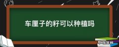 车厘子的籽能种出车厘子吗 车厘子的籽可以种植吗