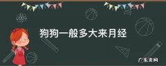 狗狗多大来月经正常 狗狗一般多大来月经