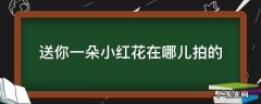 送你一朵小红花在哪儿拍的 送你一朵小红花哪里拍的?