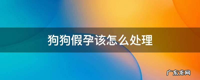 狗狗假孕该怎么处理 狗狗假孕该怎么处理吃什么药好