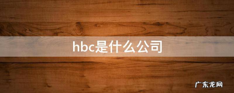 HBC是哪个公司 hbc是什么公司