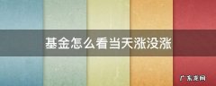 基金怎么看当天涨没涨 怎么知道基金今天有没有涨