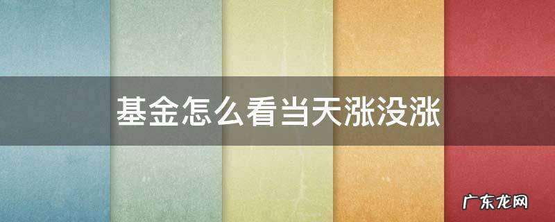 基金怎么看当天涨没涨 怎么知道基金今天有没有涨