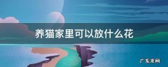 家里有猫可以放什么花 养猫家里可以放什么花