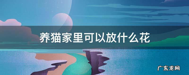 家里有猫可以放什么花 养猫家里可以放什么花
