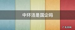 中环洁是个什么公司 中环洁是国企吗
