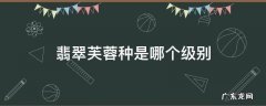 翡翠芙蓉种是哪个级别 翡翠芙蓉种是哪个级别百度
