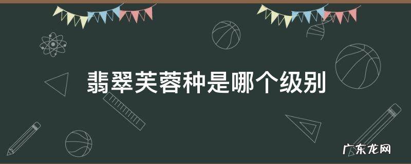 翡翠芙蓉种是哪个级别 翡翠芙蓉种是哪个级别百度