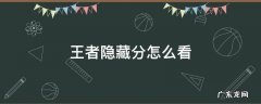王者隐藏分怎么看 王者隐藏分怎么看2021