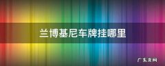 兰博基尼车牌挂哪里 兰博基尼的车牌号在哪里