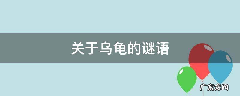 关于乌龟的谜语简单 关于乌龟的谜语