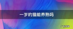 不到一岁的猫能养熟吗 一岁的猫能养熟吗