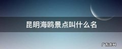 昆明海鸥景点叫什么名 昆明哪个景点有海鸥