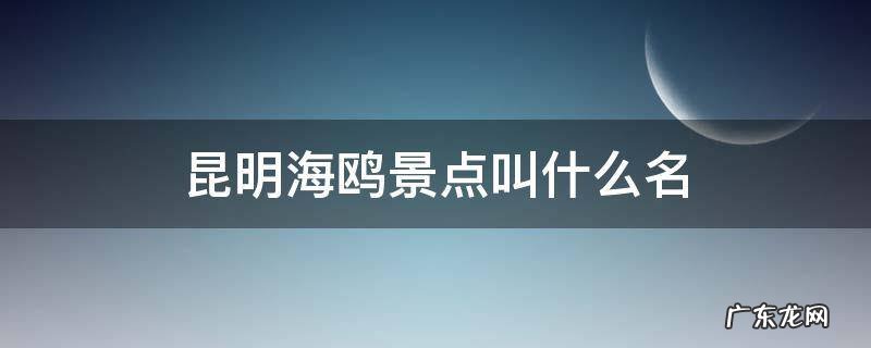 昆明海鸥景点叫什么名 昆明哪个景点有海鸥