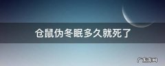 仓鼠伪冬眠多久就死了 仓鼠伪冬眠会死吗?