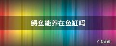鲟龙鱼可以放鱼缸养吗 鲟鱼能养在鱼缸吗