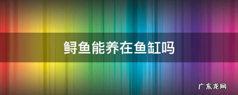 鲟龙鱼可以放鱼缸养吗 鲟鱼能养在鱼缸吗
