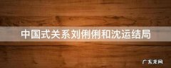 中国式关系沈运刘俐俐结婚是哪一集 中国式关系刘俐俐和沈运结局
