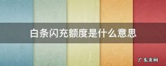 白条闪充额度是啥 白条闪充额度是什么意思