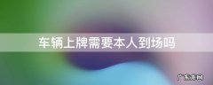 车辆上牌需要本人到场吗 车管所上牌必须本人到场