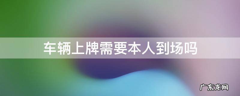 车辆上牌需要本人到场吗 车管所上牌必须本人到场