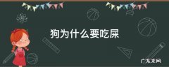 狗为什么要吃屎 狗为什么要吃屎正确解释