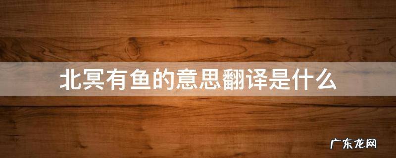 北冥有鱼译文意思 北冥有鱼的意思翻译是什么