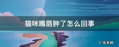猫咪嘴肿了是怎么回事 猫咪嘴唇肿了怎么回事