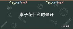 桃花李子花什么时候开 李子花什么时候开