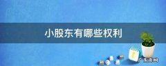 股份公司小股东的权利 小股东有哪些权利