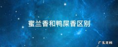 蜜兰香好还是鸭屎香好?二者有何区别? 蜜兰香和鸭屎香区别