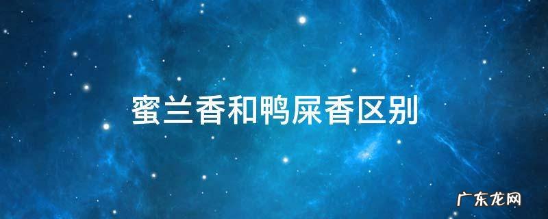 蜜兰香好还是鸭屎香好?二者有何区别? 蜜兰香和鸭屎香区别