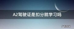 A2驾驶证是扣分就学习吗