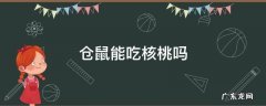 仓鼠能吃核桃吗-萌宠乐园 仓鼠能吃核桃吗