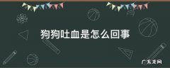 狗狗吐血是怎么回事 狗狗吐血是怎么回事吃什么药
