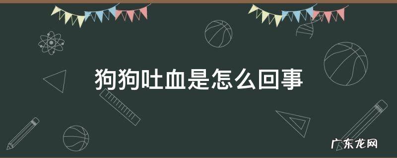 狗狗吐血是怎么回事 狗狗吐血是怎么回事吃什么药