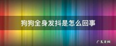 狗狗全身发抖是怎么回事腿还站不住 狗狗全身发抖是怎么回事