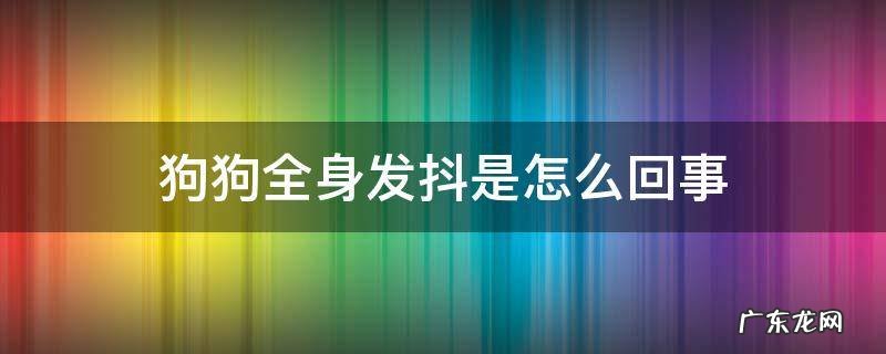 狗狗全身发抖是怎么回事腿还站不住 狗狗全身发抖是怎么回事
