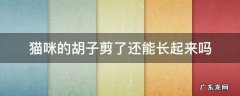 猫咪的胡子剪了还能长起来吗 猫咪的胡子剪了还能长出来吗