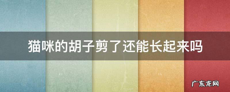 猫咪的胡子剪了还能长起来吗 猫咪的胡子剪了还能长出来吗