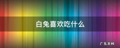 白兔喜欢吃什么水果 白兔喜欢吃什么