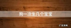 狗一次生几个宝宝 狗一次能生几个宝宝