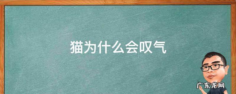 猫为啥总叹气 猫为什么会叹气