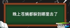 苍蝇晚上去哪儿了 晚上苍蝇都躲到哪里去了