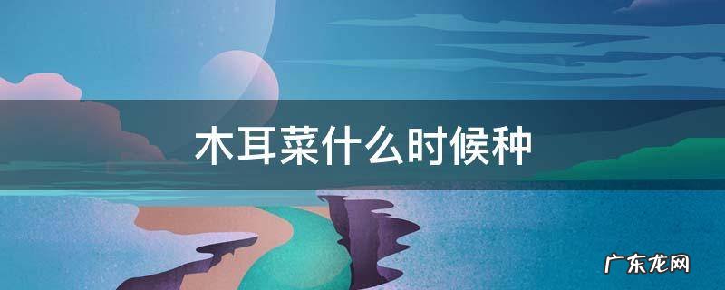 木耳菜什么时候种 木耳菜什么时候种合适