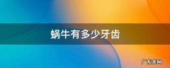 蜗牛有多少牙齿多少颗视频 蜗牛有多少牙齿