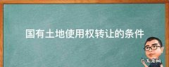 国有土地使用权转让的条件和依据 国有土地使用权转让的条件
